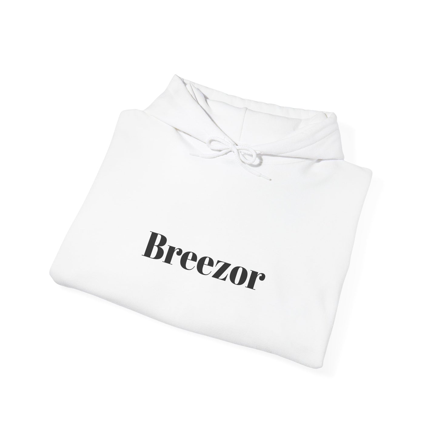 Breezor hoodie 💨